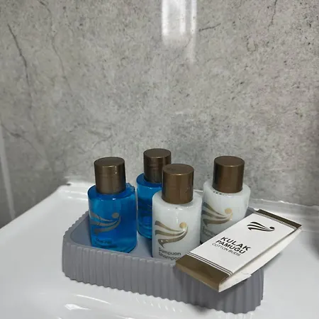 Atakoru Luxury Yasamkent Brand New Modern Comfort